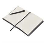 Alex Varga Carralis Notebook & Pen Set