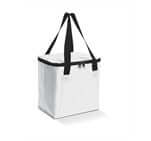 Arctic 12-Can Cooler