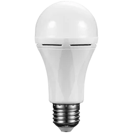 Switched 9w A60 Rechargeable Fast Charge E27 LED CW
