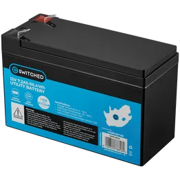 Switched LiFePO4 Gate Motor/Alarm Battery