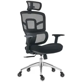 Everfurn Premium Graphite Ergo High Back Chair - Black