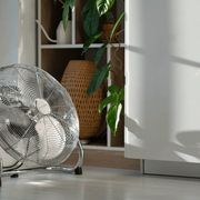 Elektra Power Fan in a bright room, beside a potted plant and decorative items, providing a stylish cooling solution.