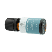 Zen Oil Eucalyptus essential oil bottle, 10 ml, promotes relaxation and well-being with invigorating aroma.