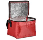 Altitude Buddy 6-Can Cooler